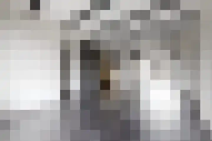Europastraat 9 Dinteloord thumbnail 13