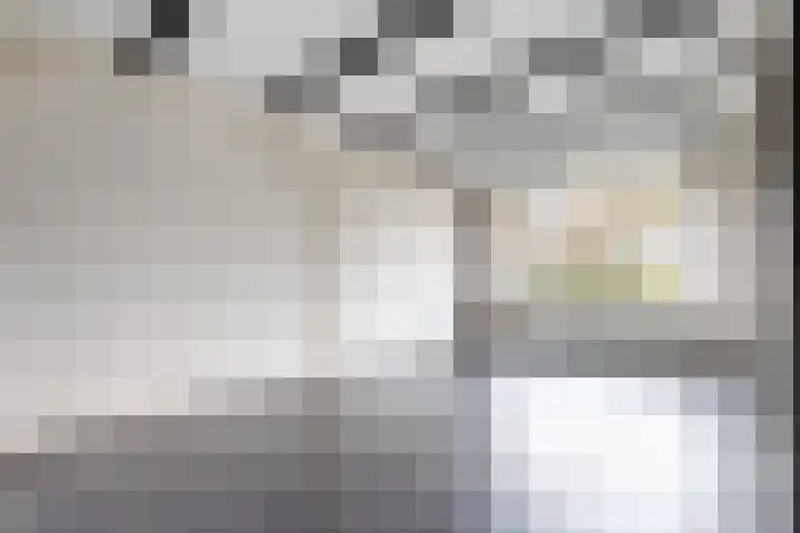 Europastraat 9 Dinteloord thumbnail 15