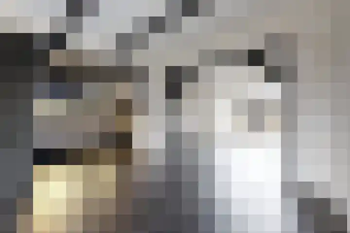 Europastraat 9 Dinteloord thumbnail 16