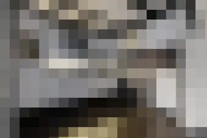 Europastraat 9 Dinteloord thumbnail 17