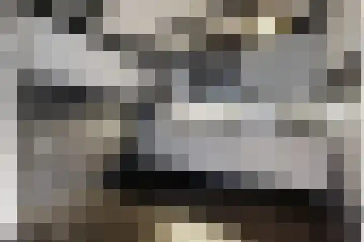 Europastraat 9 Dinteloord thumbnail 18