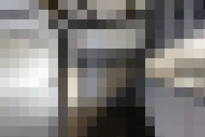 Europastraat 9 Dinteloord thumbnail 19