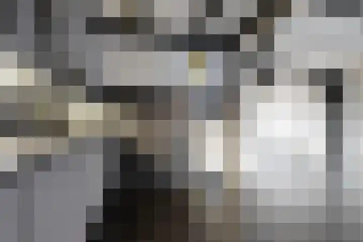 Europastraat 9 Dinteloord thumbnail 20
