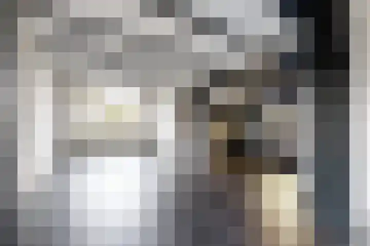 Europastraat 9 Dinteloord thumbnail 21