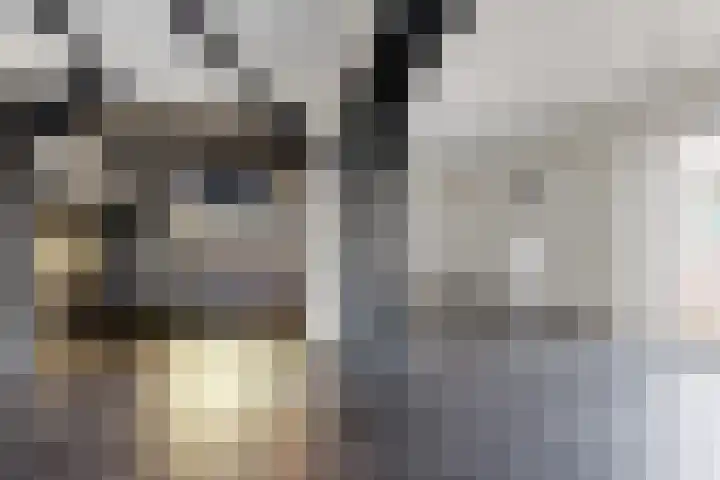 Europastraat 9 Dinteloord thumbnail 22