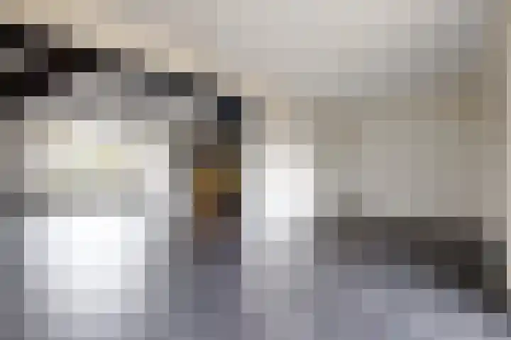 Europastraat 9 Dinteloord thumbnail 23