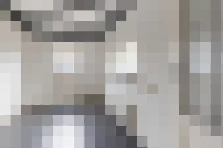 Europastraat 9 Dinteloord thumbnail 27