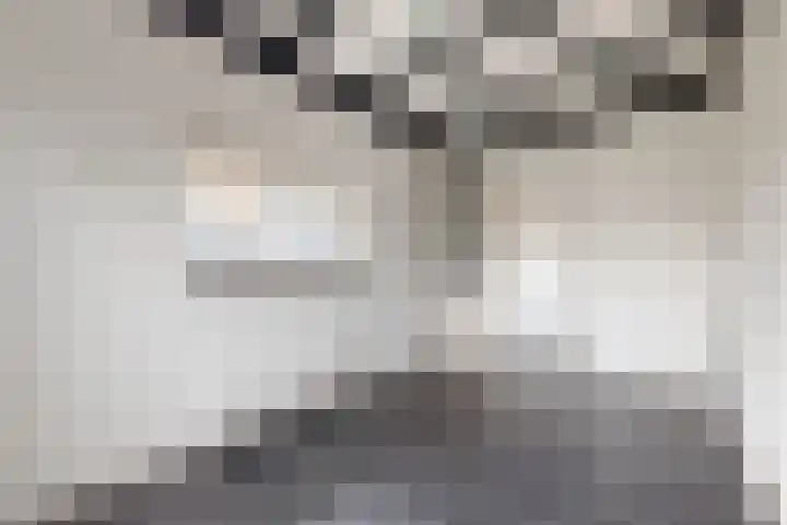 Europastraat 9 Dinteloord thumbnail 28