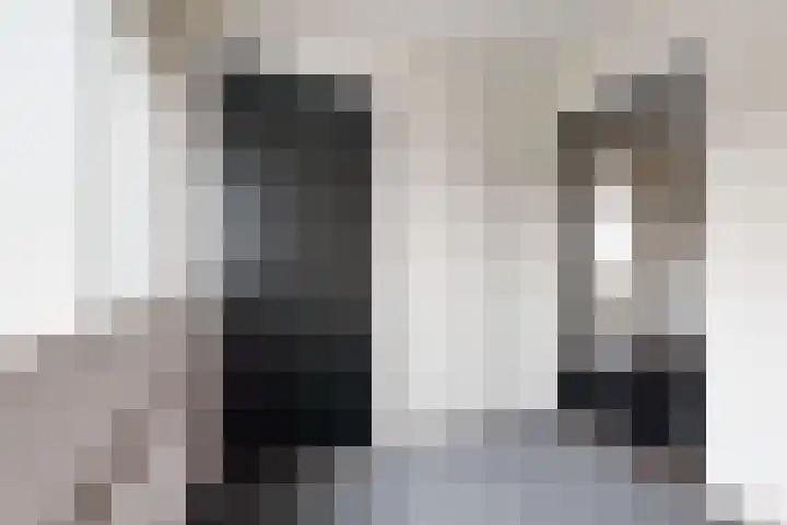 Europastraat 9 Dinteloord thumbnail 37
