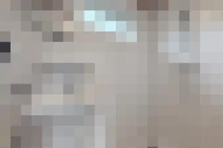 Europastraat 9 Dinteloord thumbnail 40
