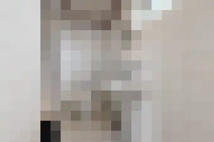 Europastraat 9 Dinteloord thumbnail 42