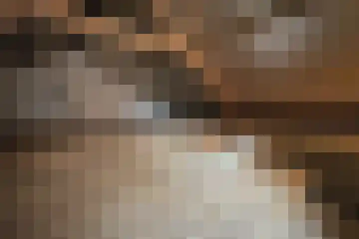 Europastraat 9 Dinteloord thumbnail 43