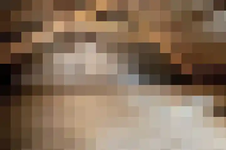 Europastraat 9 Dinteloord thumbnail 44
