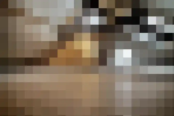 Europastraat 9 Dinteloord thumbnail 45