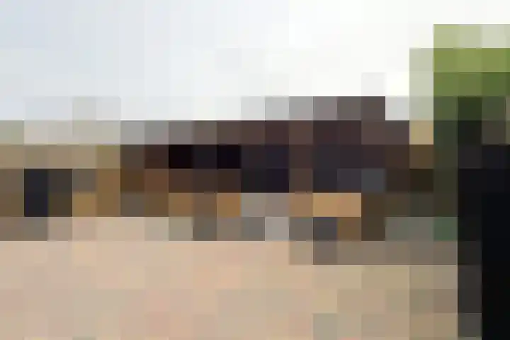 Europastraat 9 Dinteloord thumbnail 50