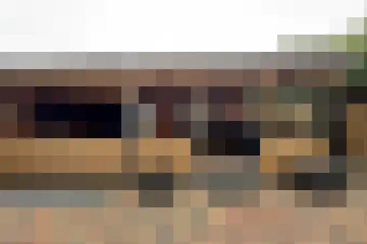 Europastraat 9 Dinteloord thumbnail 52