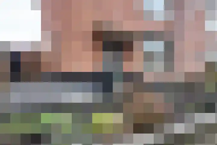 Europastraat 9 Dinteloord thumbnail 54