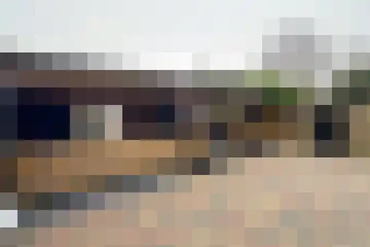 Europastraat 9 Dinteloord thumbnail 6