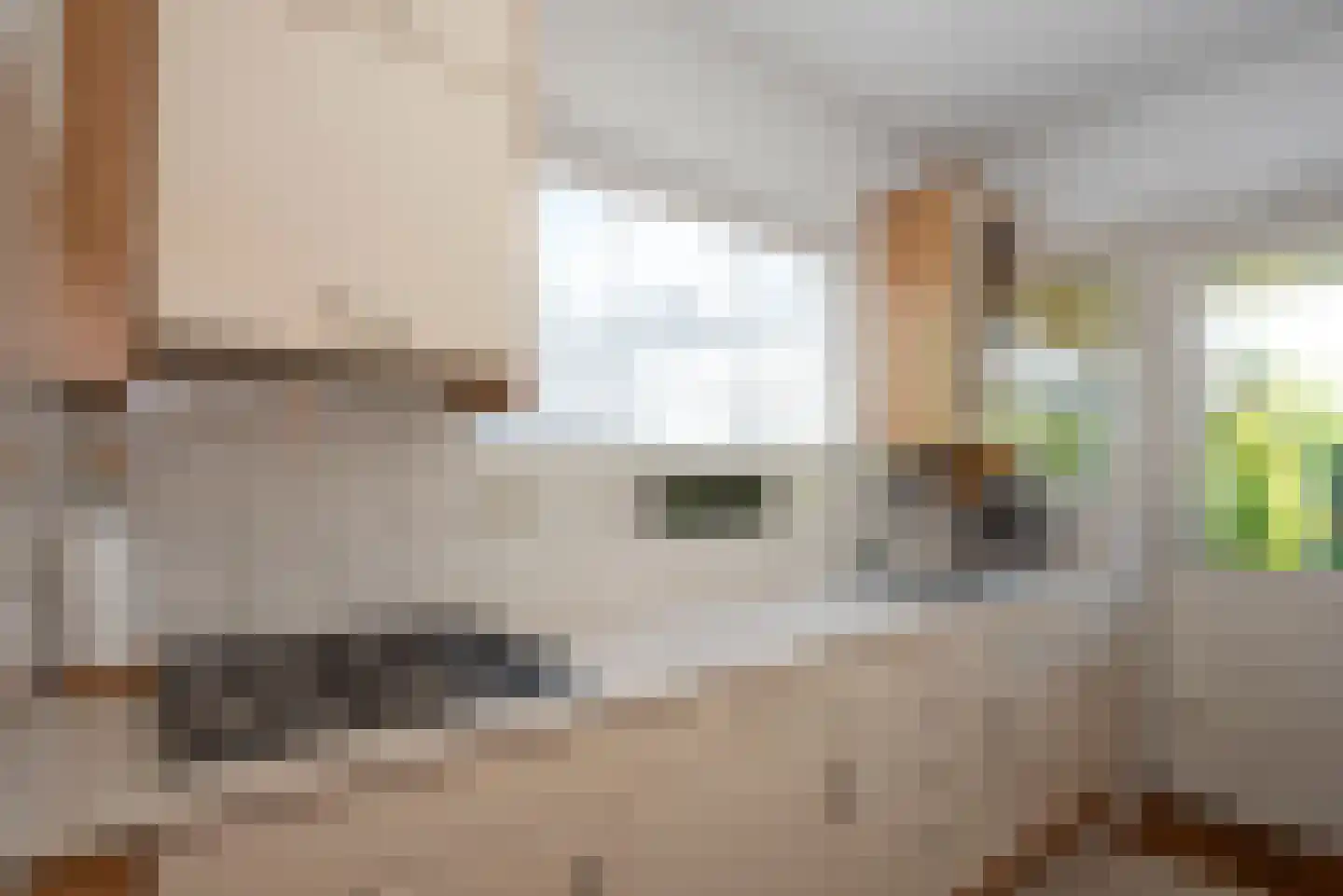 Europastraat 99 Borne thumbnail 10