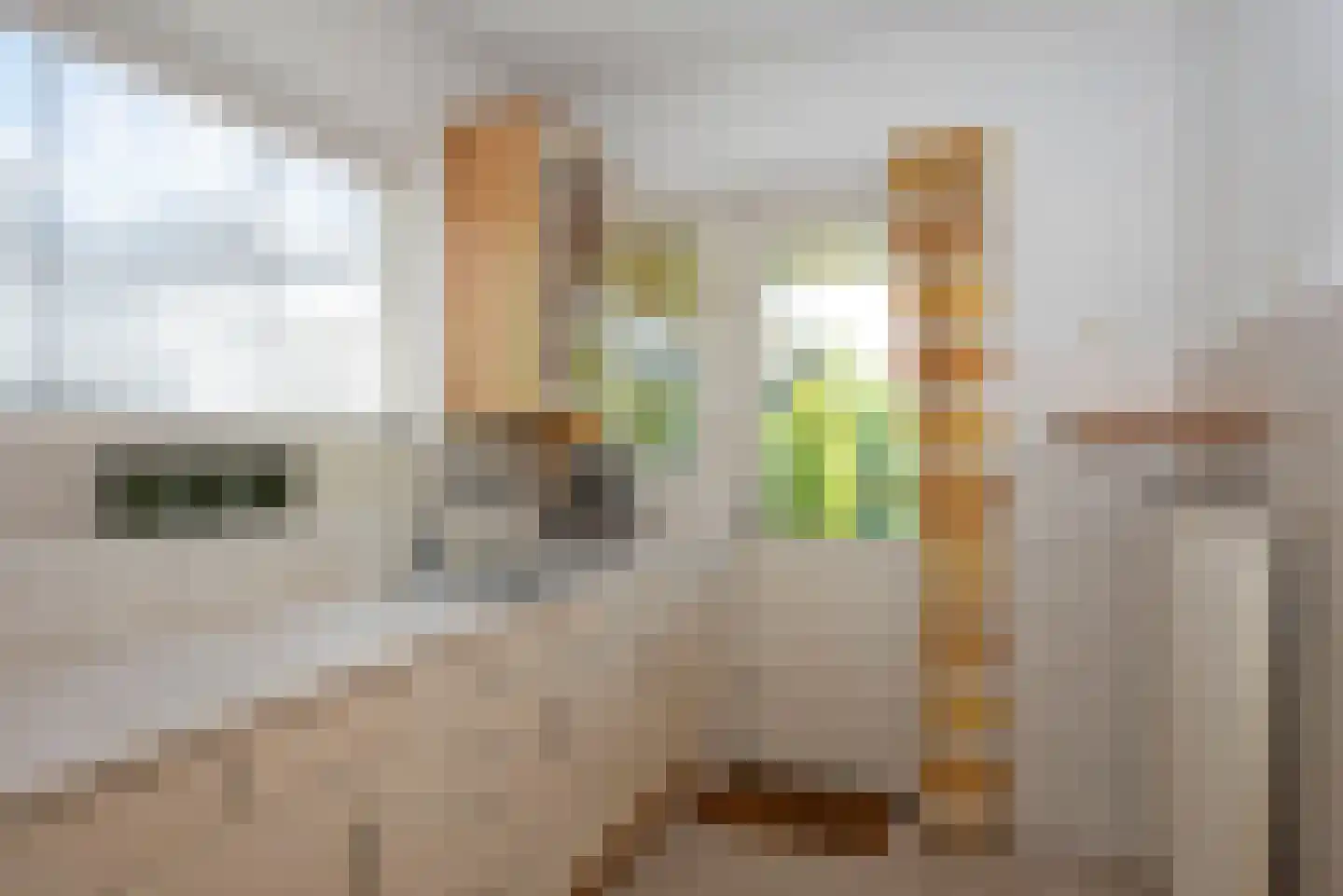 Europastraat 99 Borne thumbnail 11