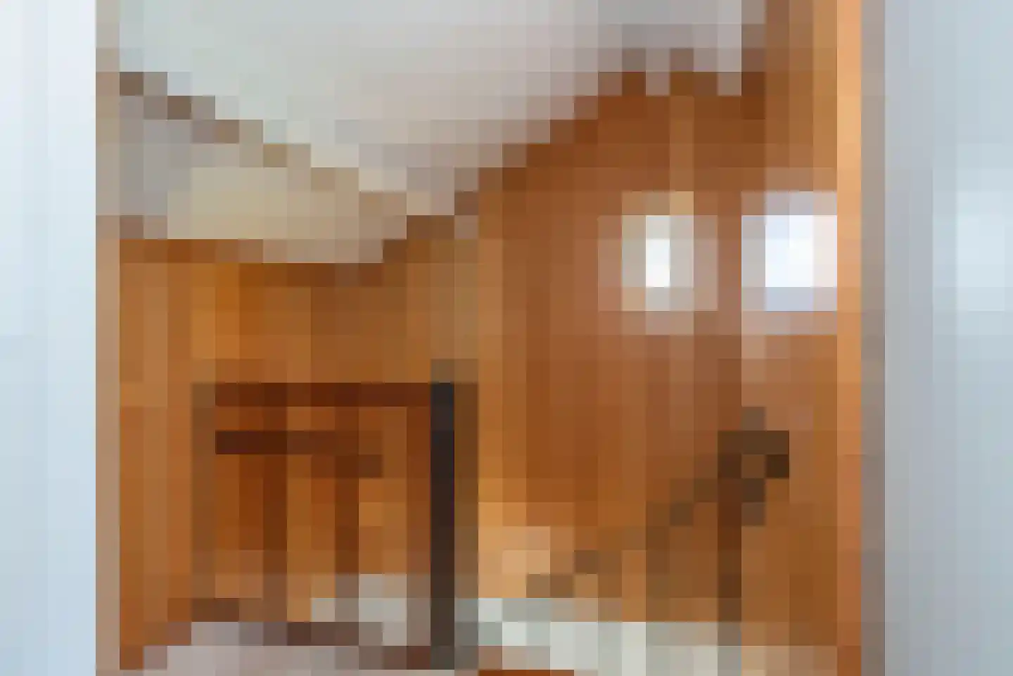 Europastraat 99 Borne thumbnail 26