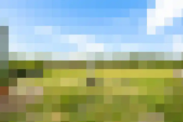 Europaweg 114 Nieuw-Schoonebeek thumbnail 10