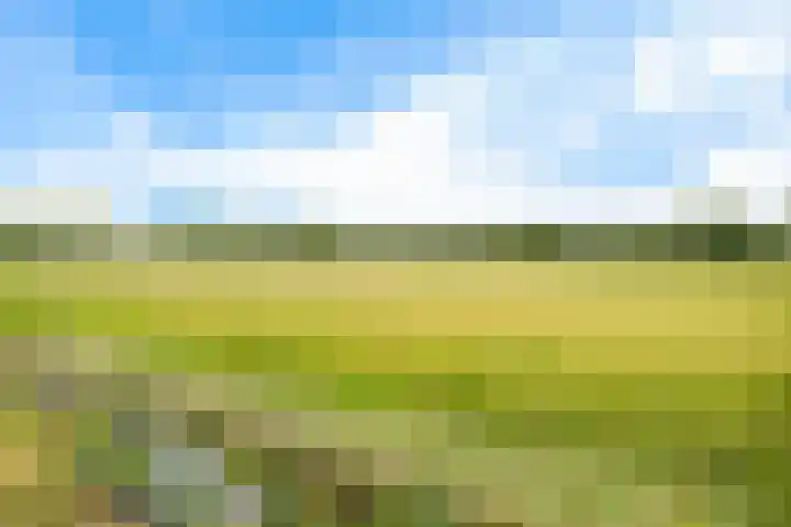 Europaweg 114 Nieuw-Schoonebeek thumbnail 33