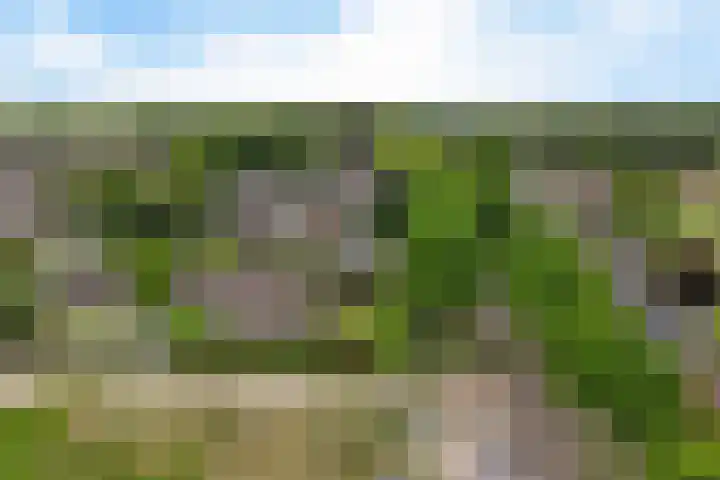 Europaweg 114 Nieuw-Schoonebeek thumbnail 36