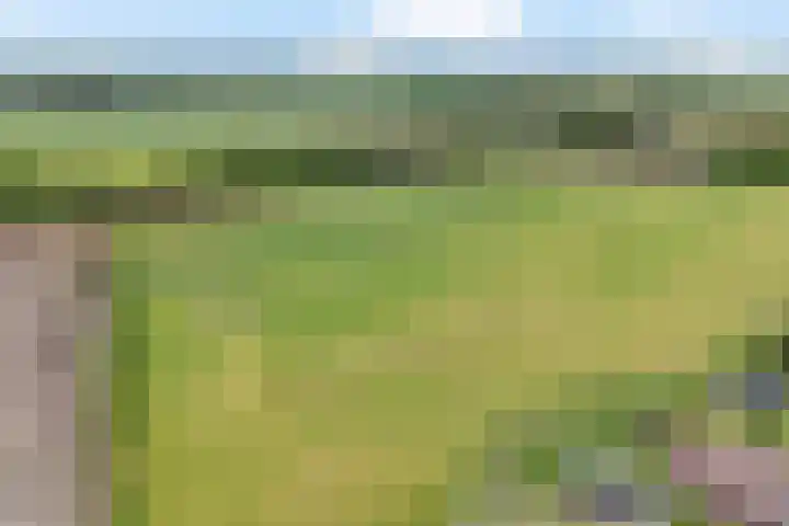 Europaweg 114 Nieuw-Schoonebeek thumbnail 37