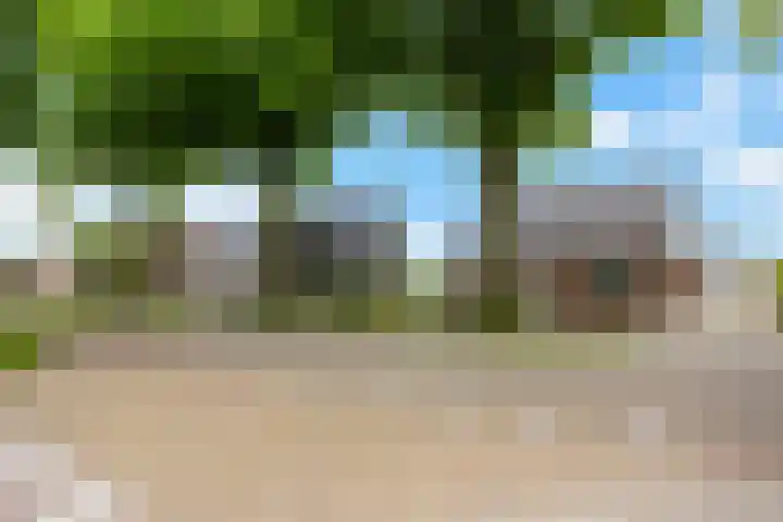 Europaweg 114 Nieuw-Schoonebeek thumbnail 5