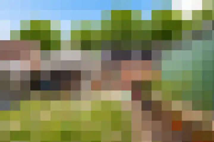 Europaweg 114 Nieuw-Schoonebeek thumbnail 9