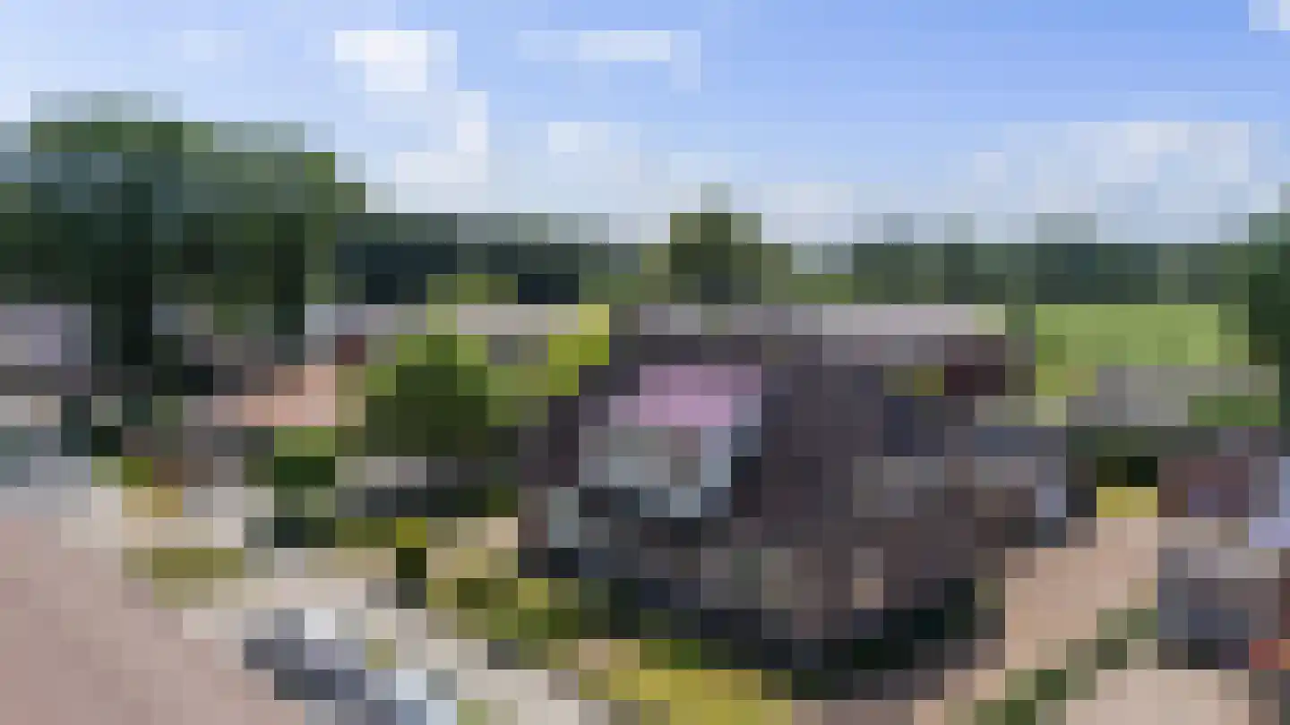 Europaweg 128 Nieuw-Schoonebeek thumbnail 4