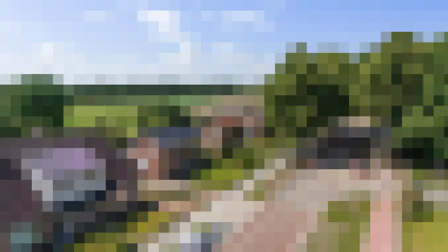 Europaweg 128 Nieuw-Schoonebeek thumbnail 5