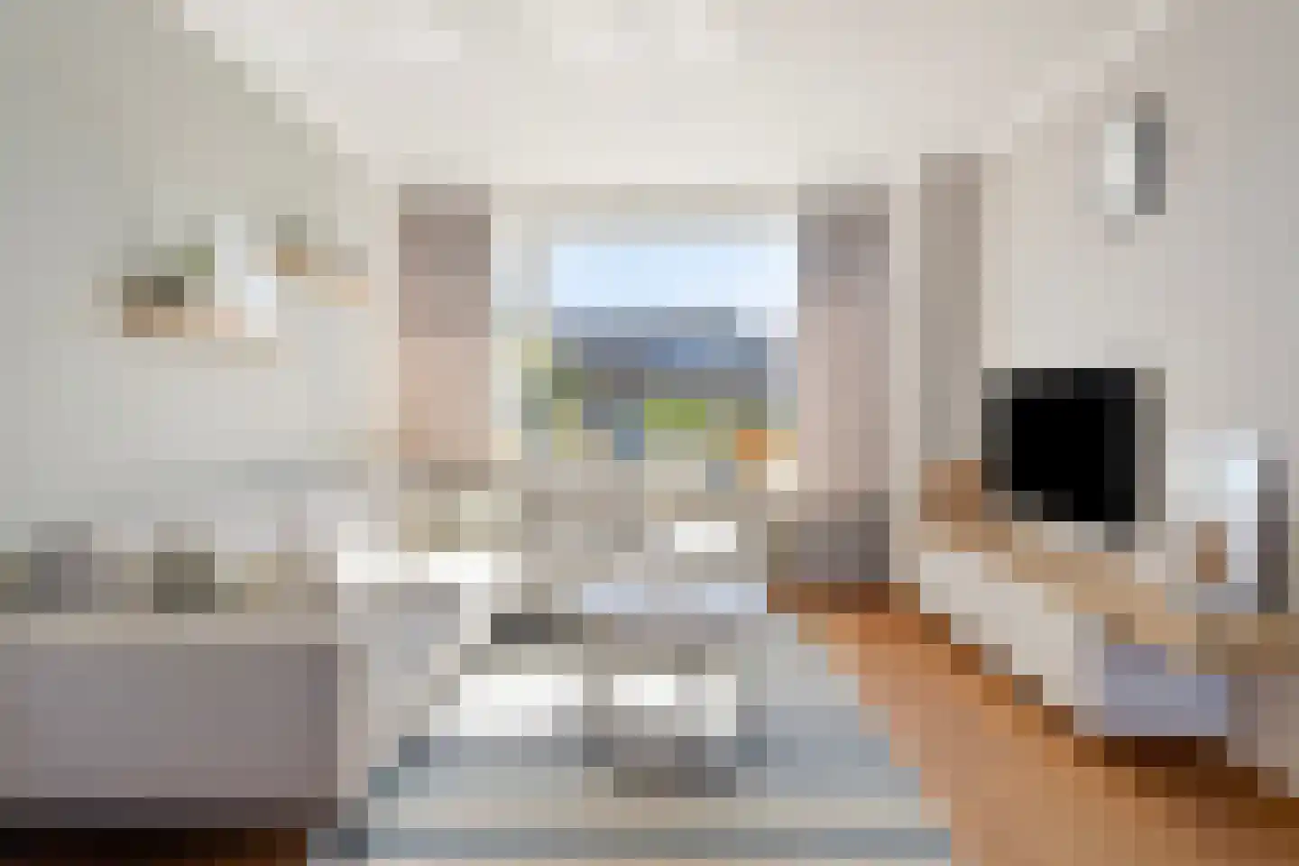 Europaweg 13 Aalten thumbnail 4