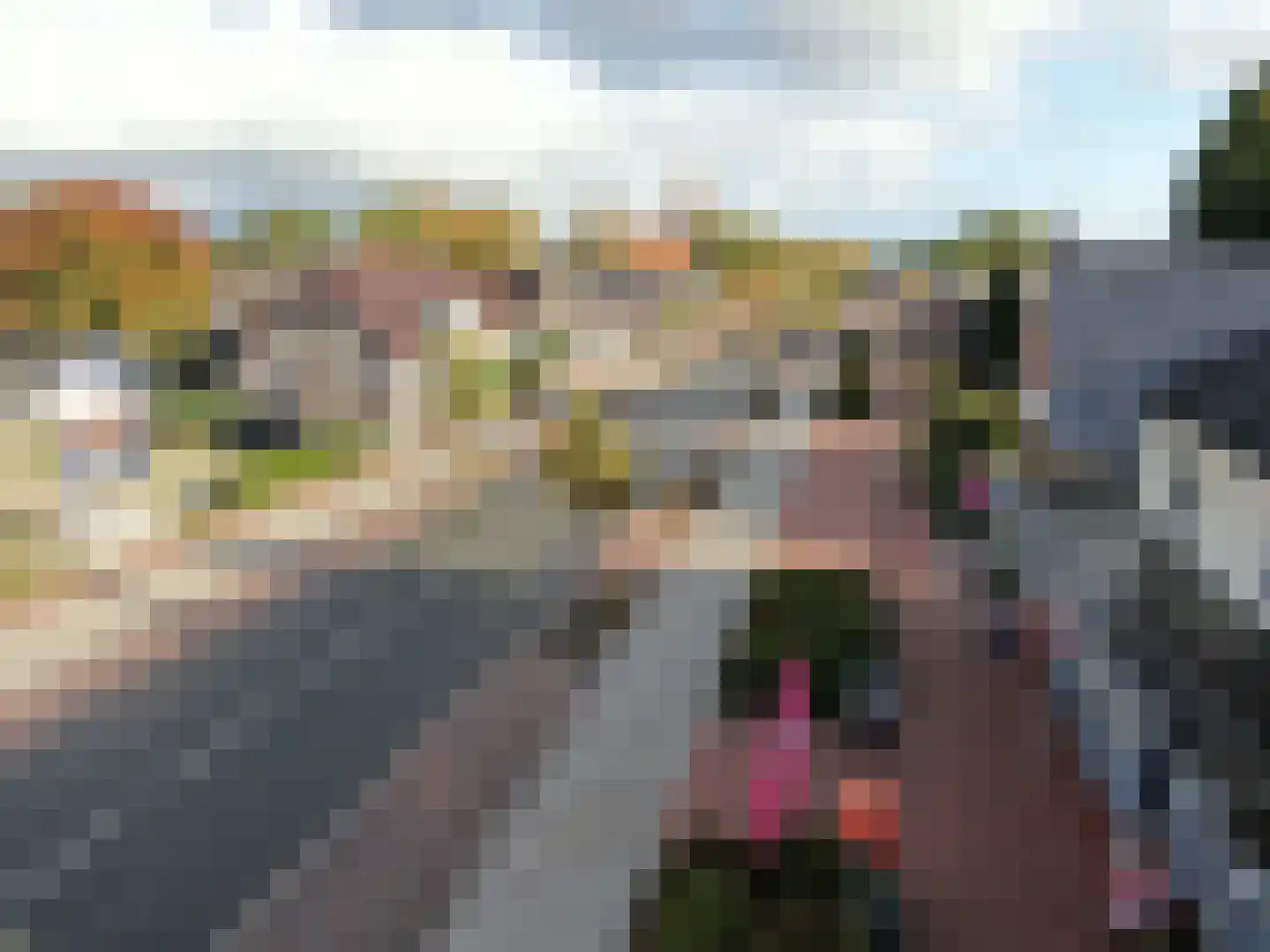 Europaweg 131 26 Schoonebeek thumbnail 45