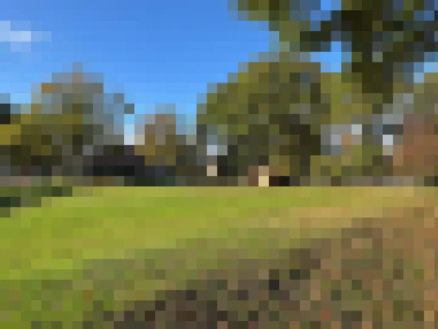 Europaweg 131 26 Schoonebeek thumbnail 8