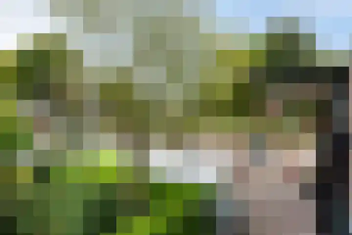 Europaweg 131 33 Schoonebeek thumbnail 11