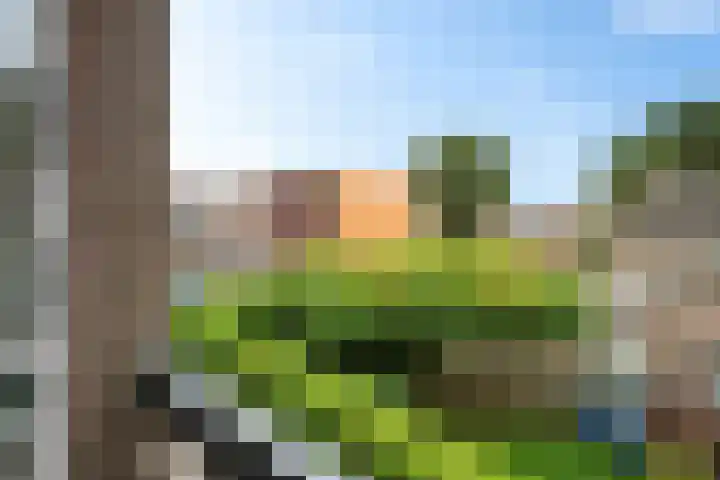 Europaweg 131 33 Schoonebeek thumbnail 12