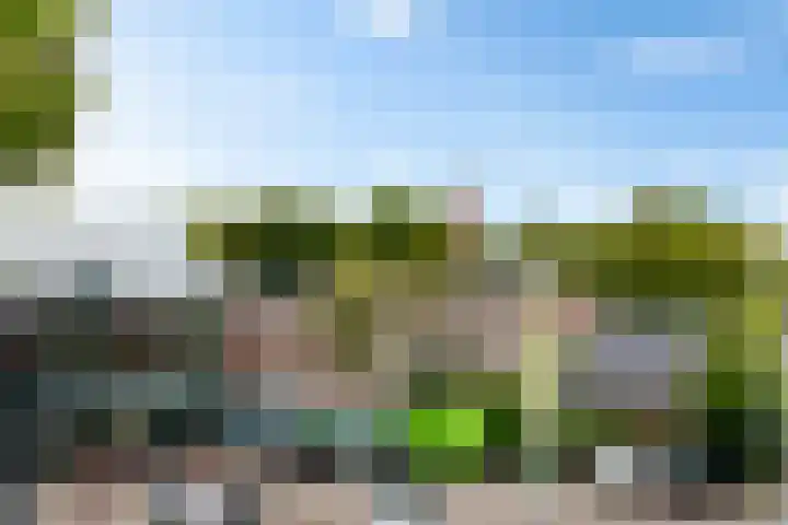 Europaweg 131 33 Schoonebeek thumbnail 33