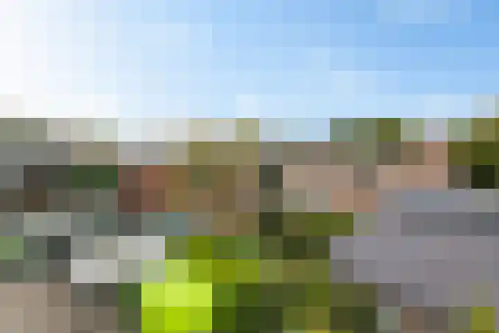 Europaweg 131 33 Schoonebeek thumbnail 34