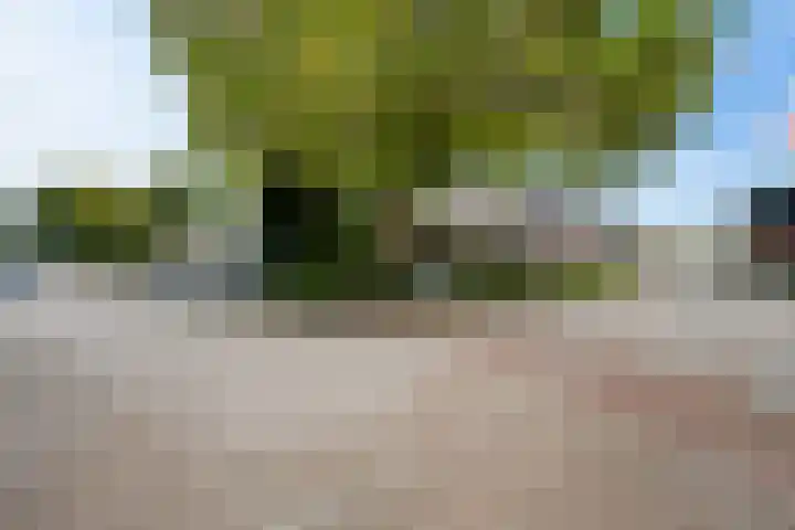 Europaweg 131 33 Schoonebeek thumbnail 36
