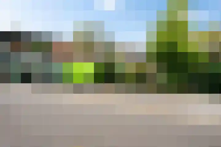 Europaweg 131 33 Schoonebeek thumbnail 37
