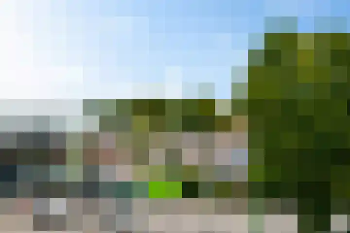 Europaweg 131 33 Schoonebeek thumbnail 41