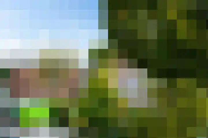 Europaweg 131 33 Schoonebeek thumbnail 42