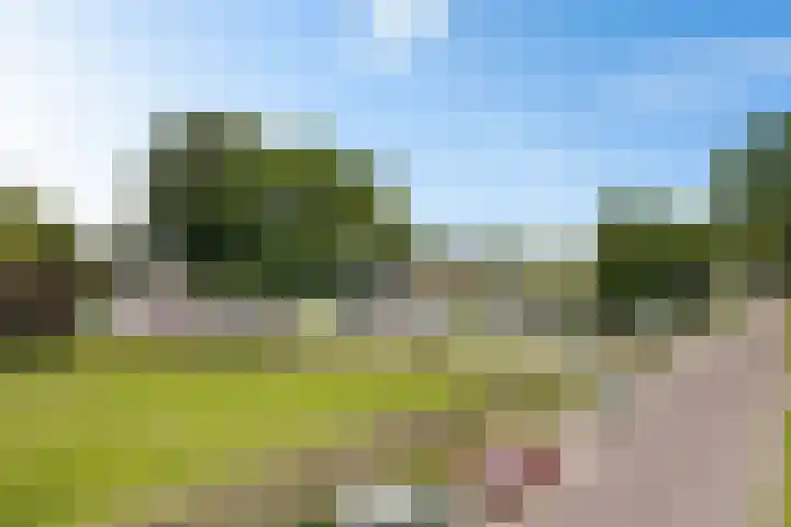 Europaweg 131 33 Schoonebeek thumbnail 43
