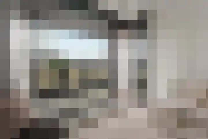 Europaweg 1311 Haarlem thumbnail 11