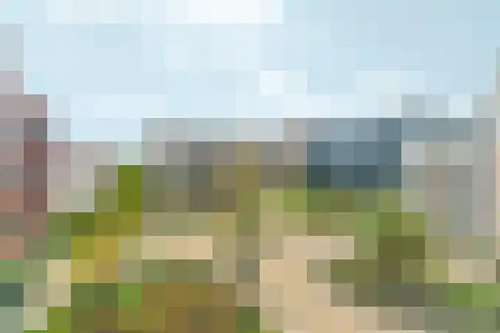 Europaweg 1377 Haarlem thumbnail 13