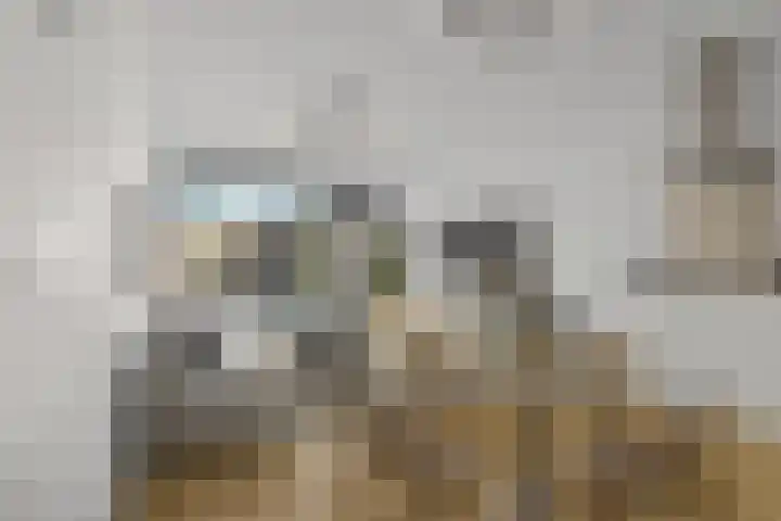 Europaweg 1401 Haarlem thumbnail 4