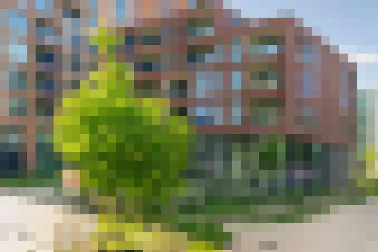 Europaweg 1447 Haarlem thumbnail 26