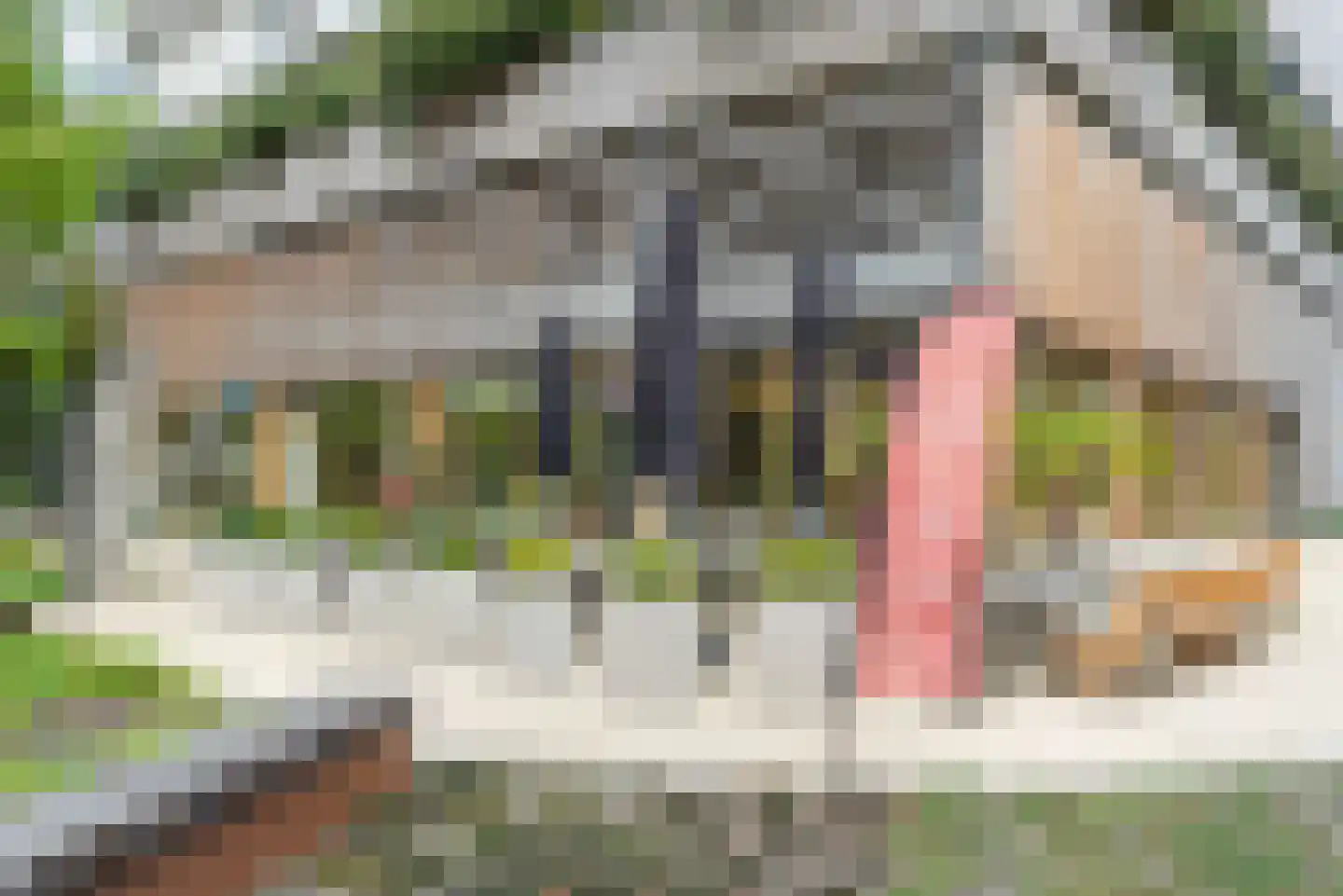 Europaweg 1451 Haarlem thumbnail 22
